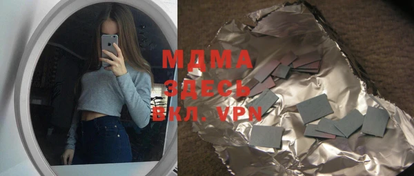 индика Новодвинск