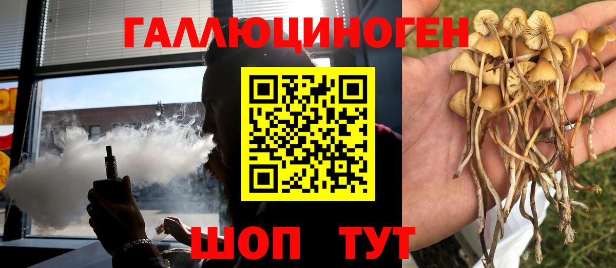 Псилоцибиновые грибы мицелий  Псилоцибиновые грибы GOLDEN TEACHER  Жуковский 